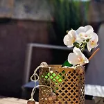 In Sardinia Close To The And To Airport Sol Y Luna 11 Olbia